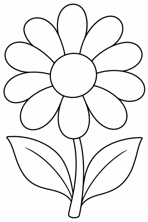 One large daisy with broad petals, two leaves and simple stem
