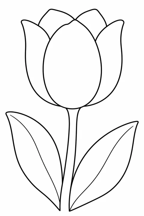 One large tulip with two broad leaves